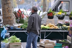 Cliquez sur la vignette pour l'agrandir